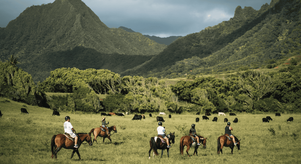 Lush Valley Views