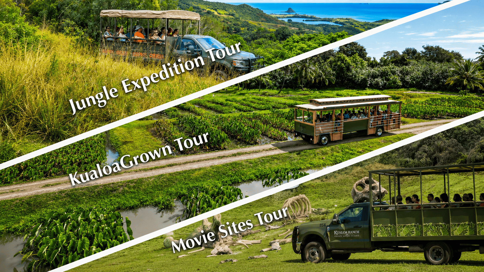 Kualoa Ranch – Best of Kualoa Experience Package