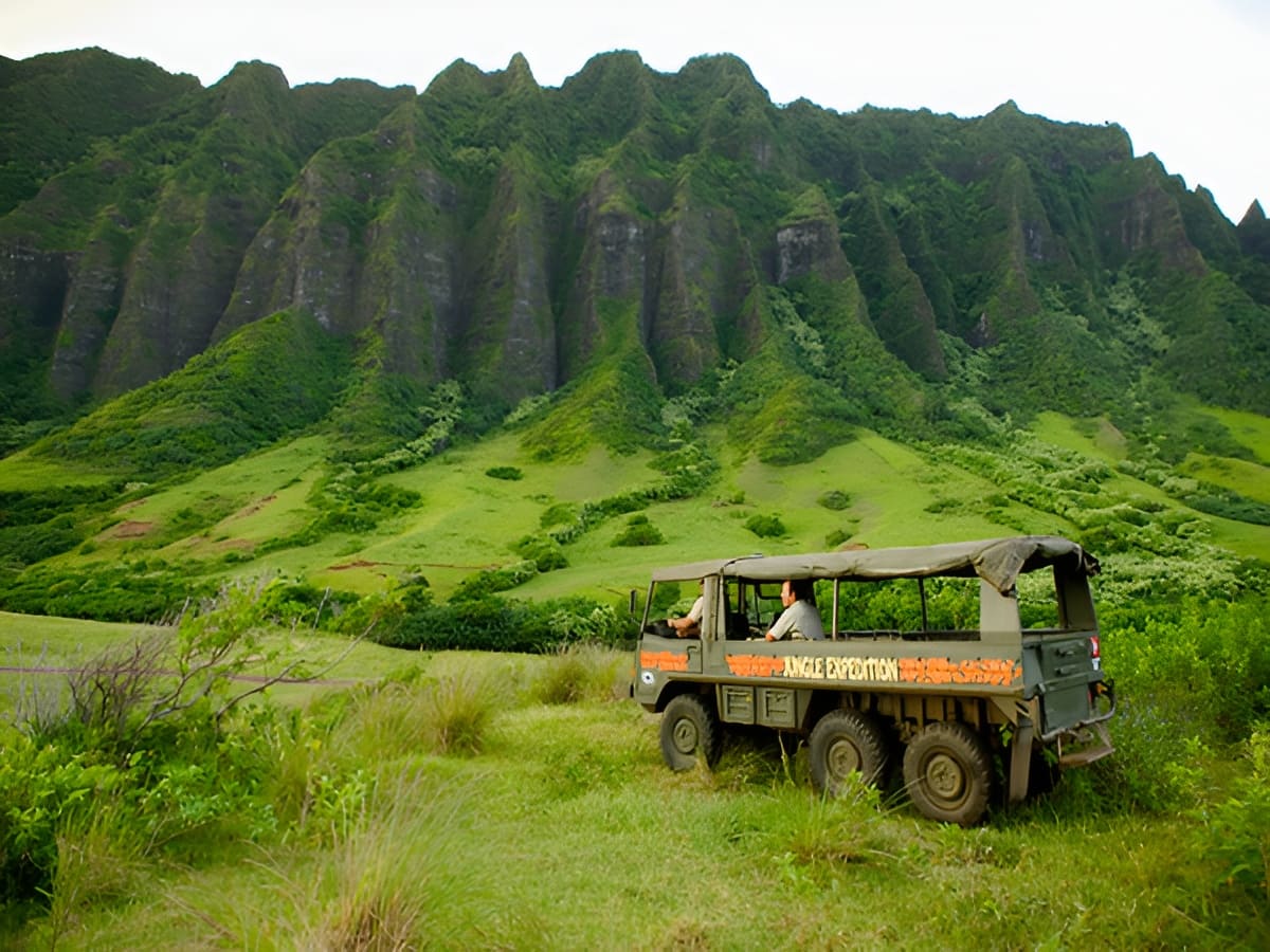 Lush Valley Views