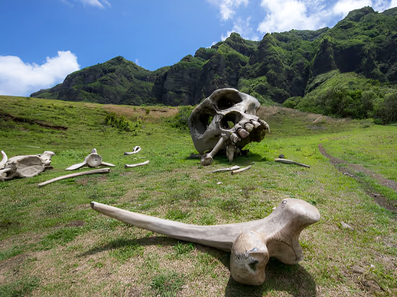 Kualoa Ranch – Hollywood Movie Sites & Ranch Tour