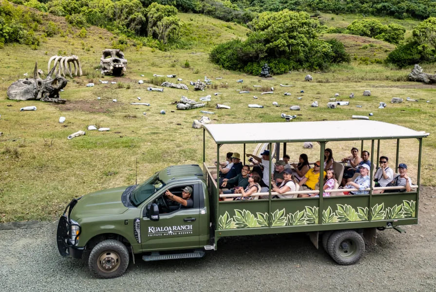 Kualoa Hollywood Movie Sites and Ranch Tour