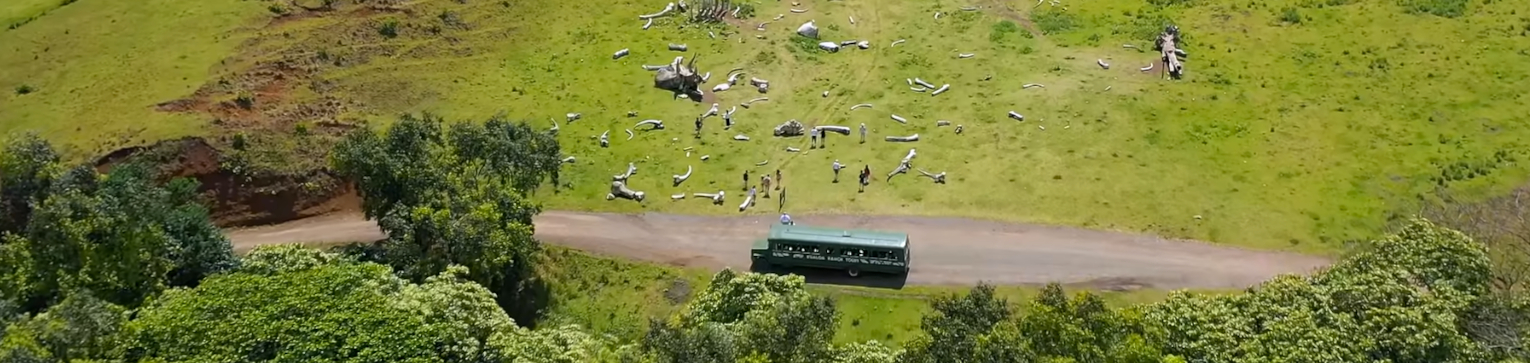 Kualoa Ranch Hollywood Movie Sites and Ranch