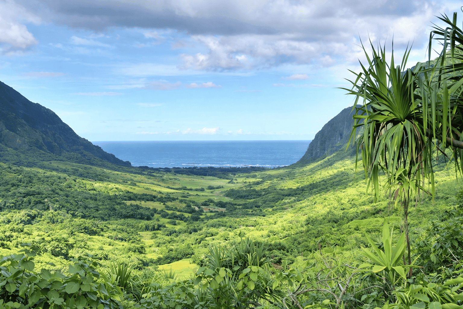 Kualoa Valley