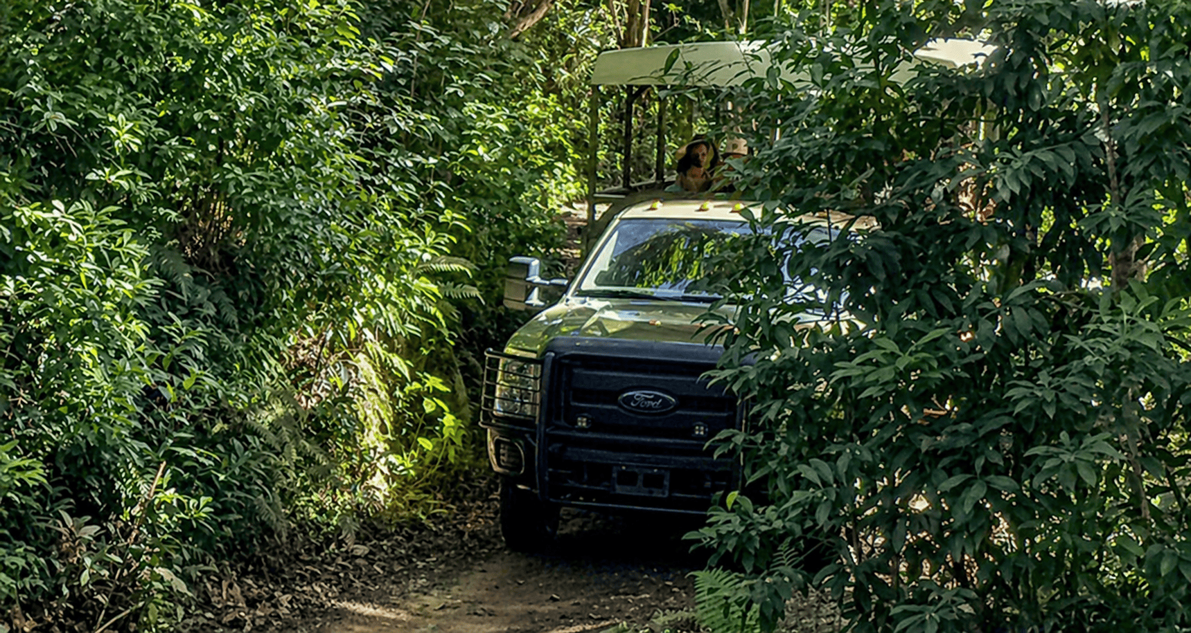 Kualoa Ranch – Jungle Expedition Tour