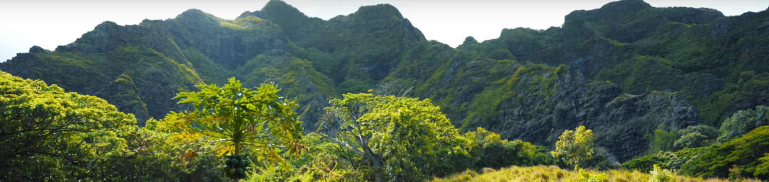 kualoa ranch jungle expedition