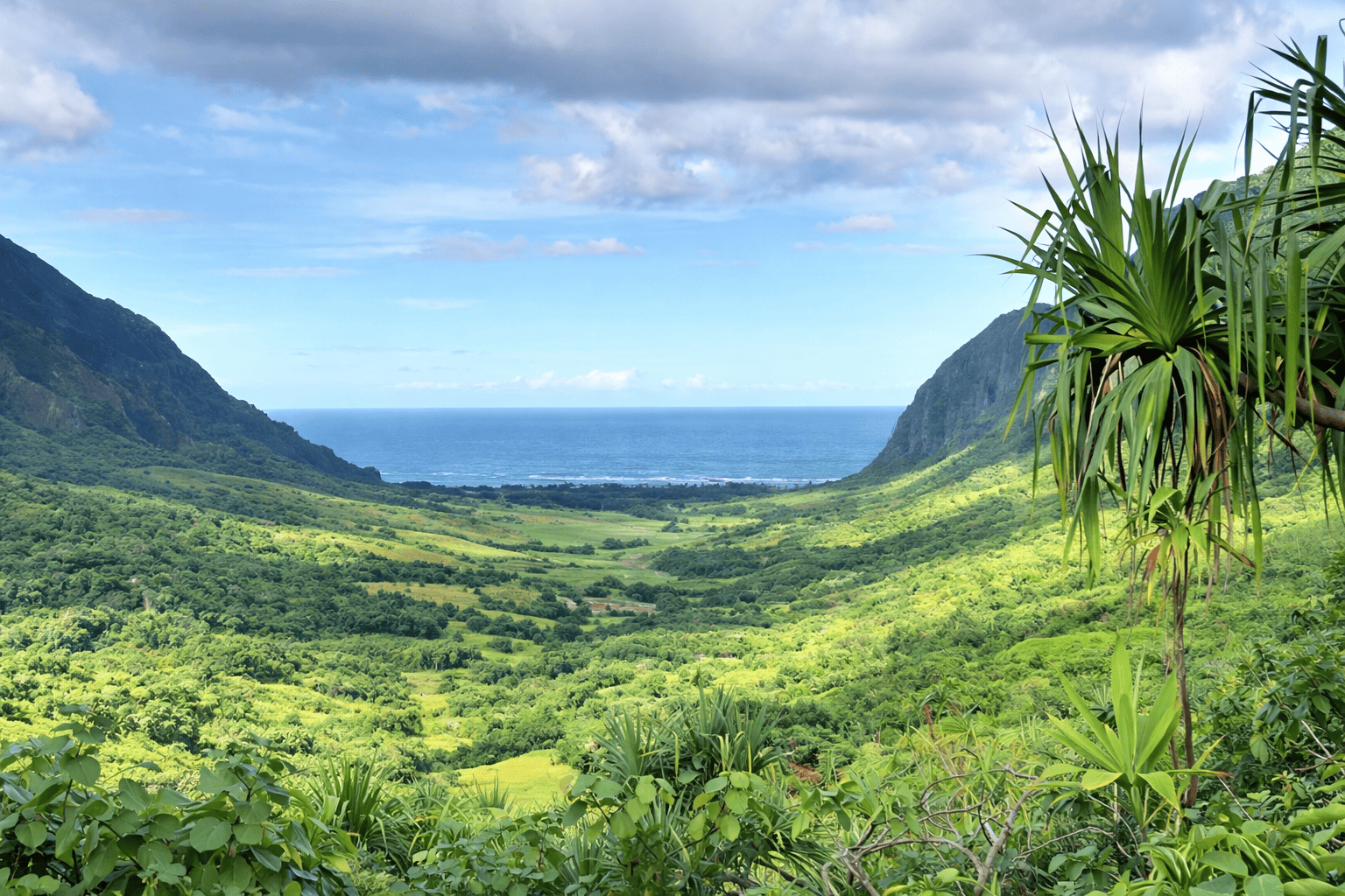 Beautiful valley views