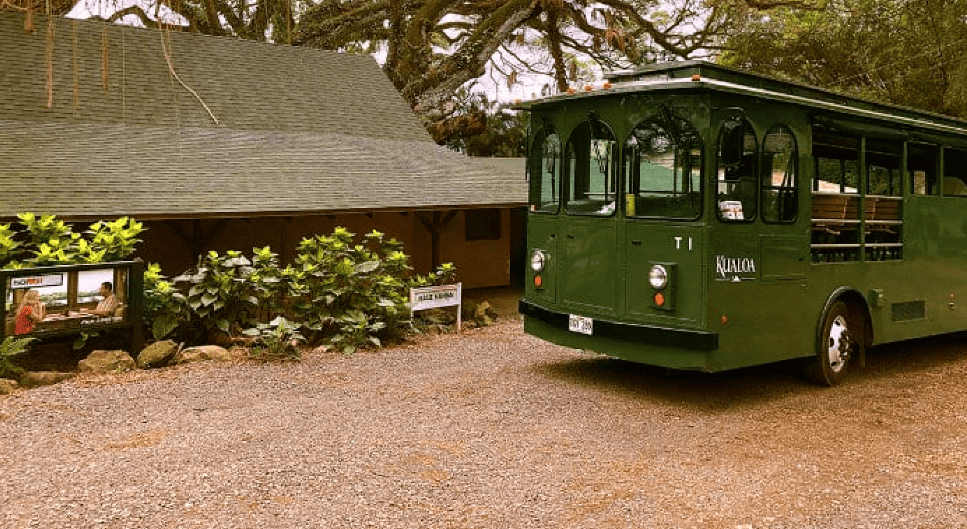 Kualoa Grown Tour