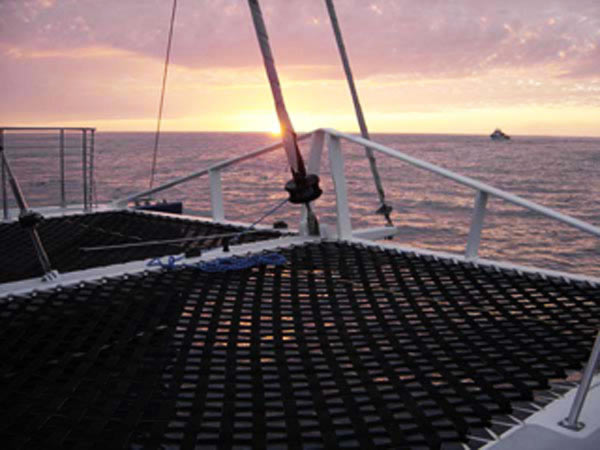 Sunset Net