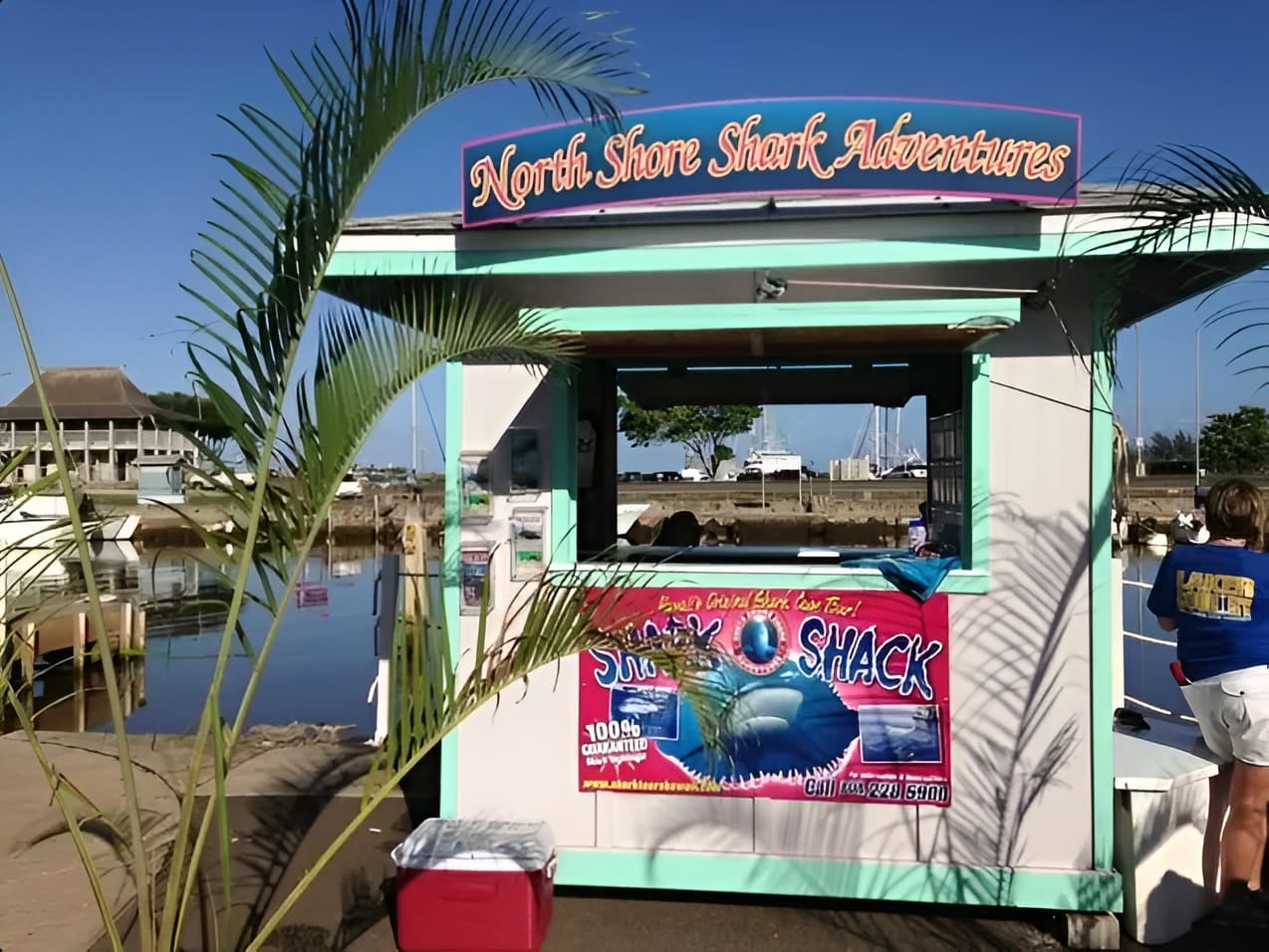 North Shore Shark Adventures Booth
