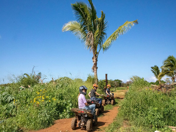 Native Hawaiian plants encountered during the North Shore ATV tour