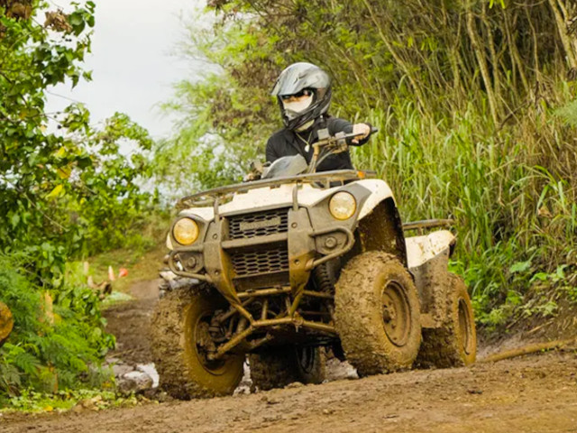 Northshore Stables Beachfront ATV & Native Plant Experience