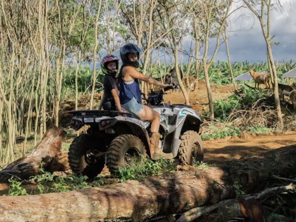 Scenic dirt trails winding through North Shore countryside