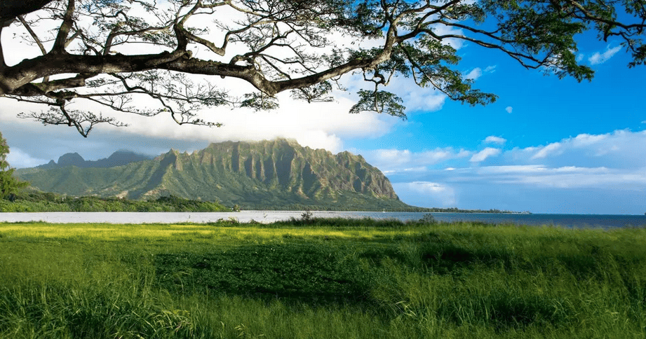 Oahu's Windward Coast