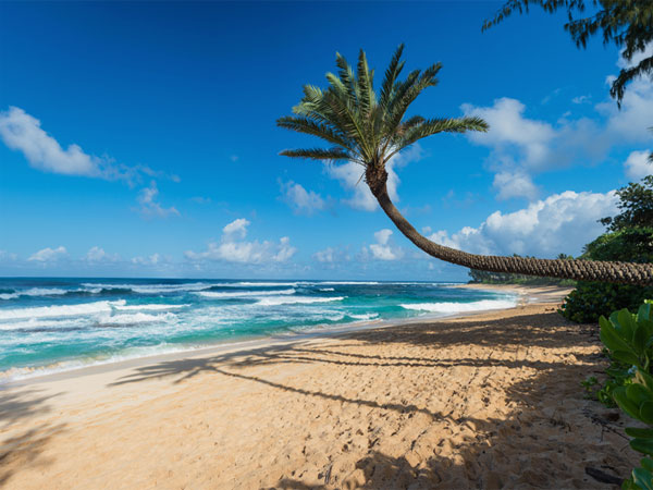 Sunset Beach