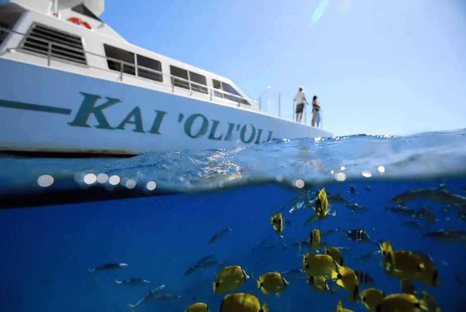 Ocean Joy Cruises – Morning Calm & Afternoon Adventure Cruises