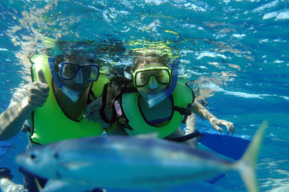 Oahu Snorkeling