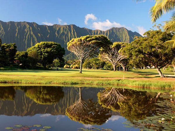 Oahu Golf