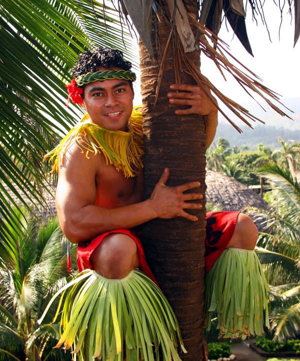 Samoan Tree Climber