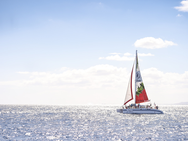 Waikiki sailing catamaran departing near Hilton Hawaiian Village