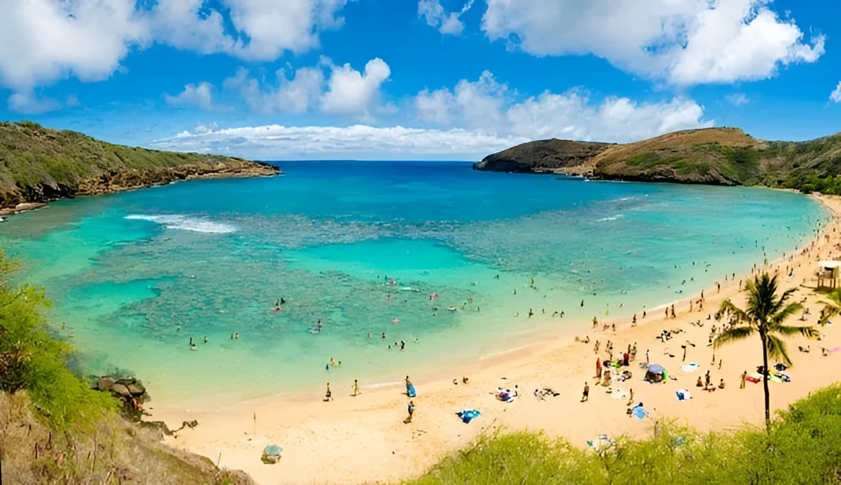 Roberts Hawaii – Hanauma Bay Experience Tour Package