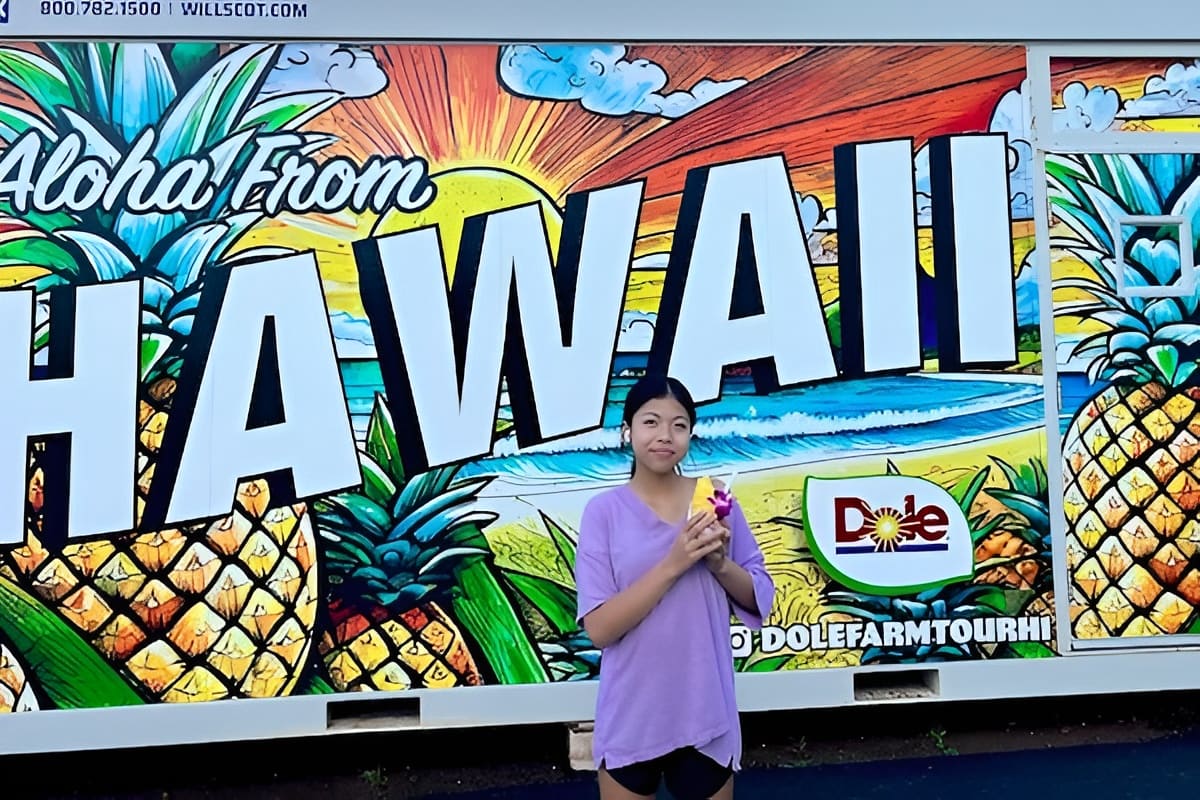 Pineapple Farm Experience