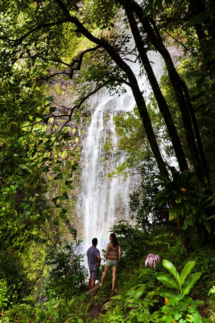 Lush rainforest falls featured on the Road to Hana tour