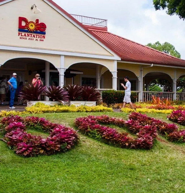 Dole Plantation