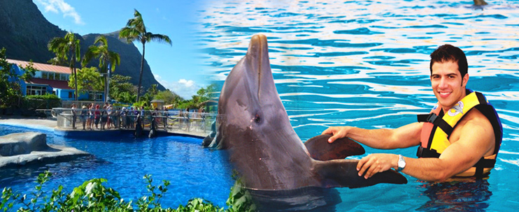 Dolphin encounter at Sea Life Park on OahU