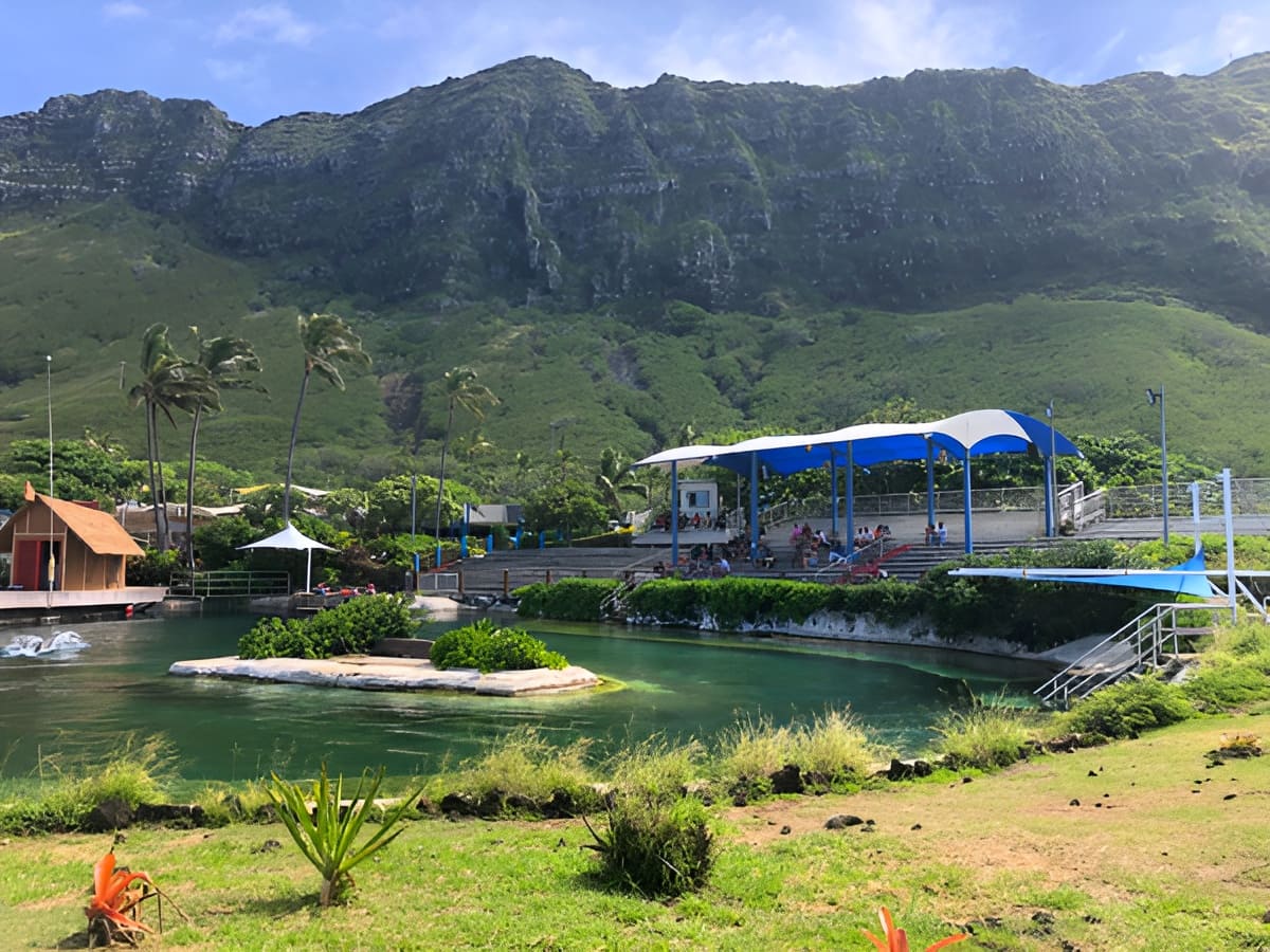 Dolphin Lagoon