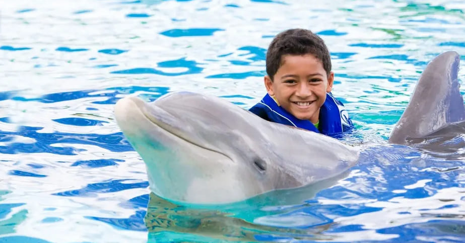Dolphin Exploration Program
