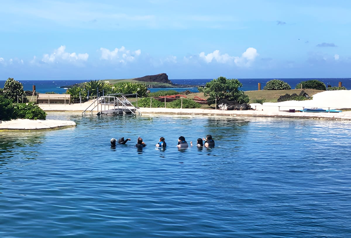 Dolphin Exploration Program