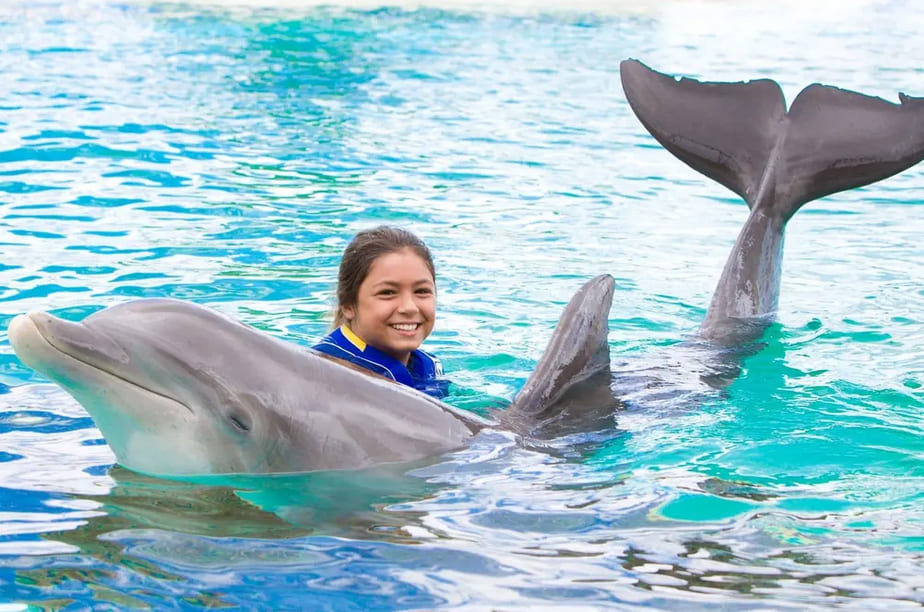 Dolphin Exploration Program