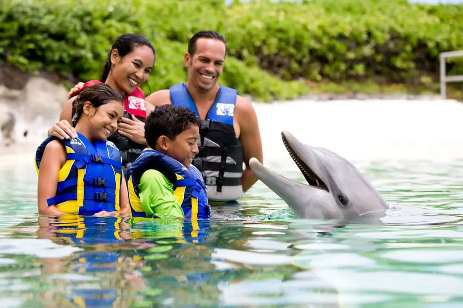 Sea Life Park Hawaii - Dolphin Exploration