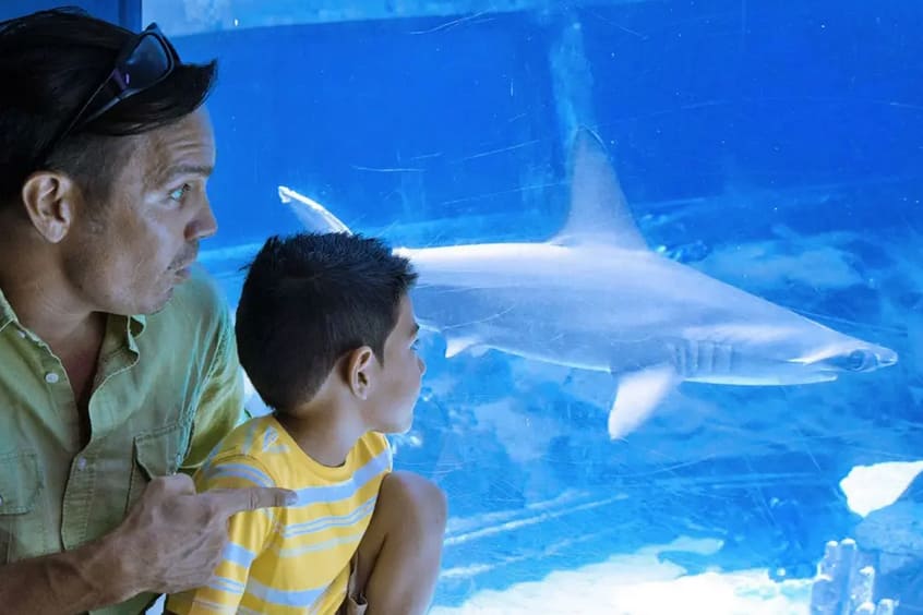 Aquarium