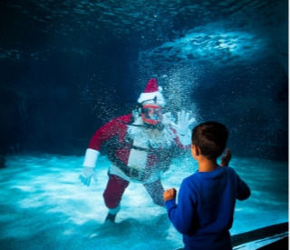 Scuba Santa Flyer