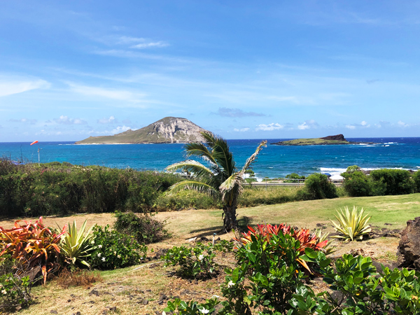 View from Sea Life Park