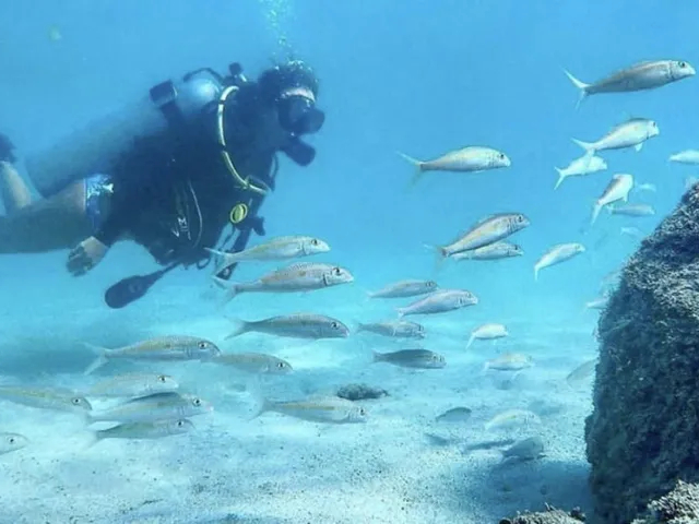 Try Scuba Diving Honolulu