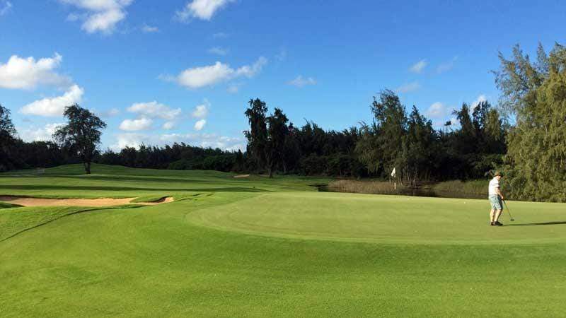 Turtle Bay Palmer Course