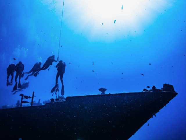 Coral Reef Certified Two Tank Boat Dive